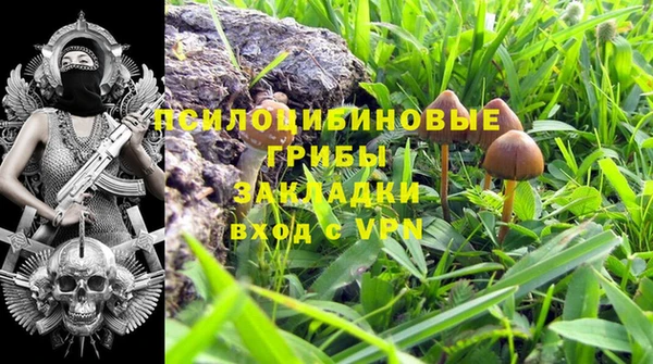 каннабис Зеленокумск