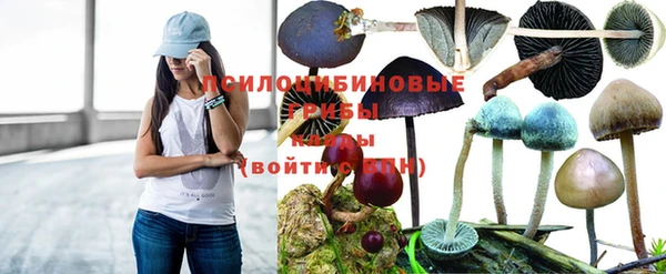 шишки Зеленодольск