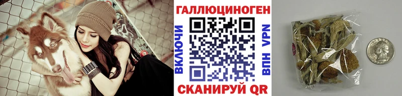 Псилоцибиновые грибы прущие грибы  Кизляр 